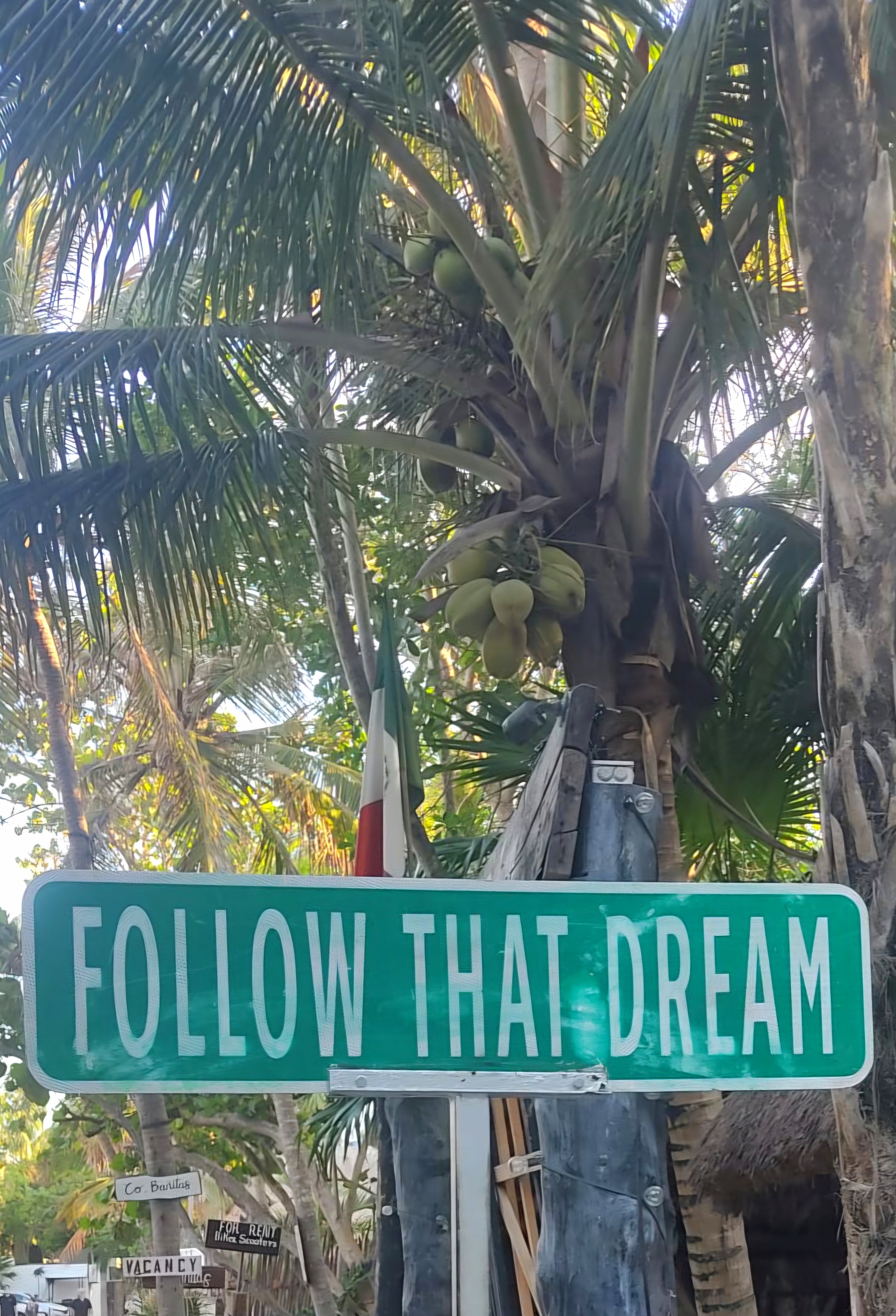 Follow that dream sign